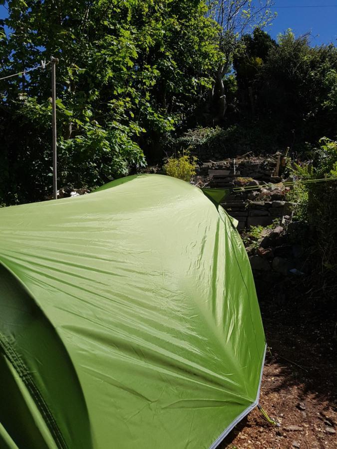 'Yellow Wood Micro Hostel-Eco Urban Bothy Style Very Basic But Cosy Redecorating But Cheap & Friendly Quiet Time Lockout 11Pm-7Am Bring Towel Or Hire Brecon Exterior photo